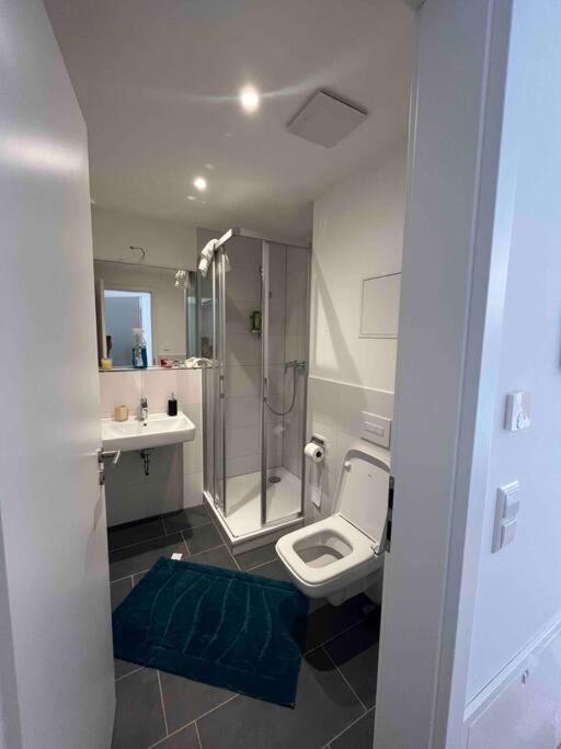 New Business Apartment Nr.20 ドレスデン エクステリア 写真
